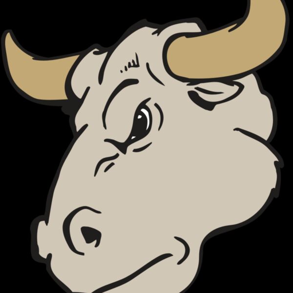 AR BULL 25 RC Thumbnail