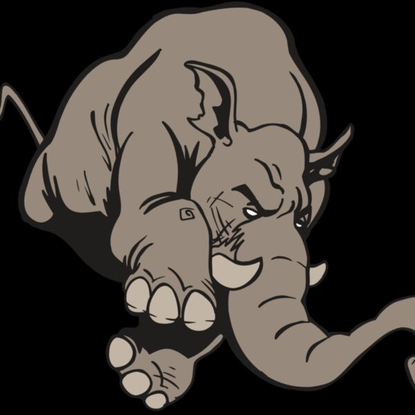 AR5 Elephant 17 RQC Thumbnail