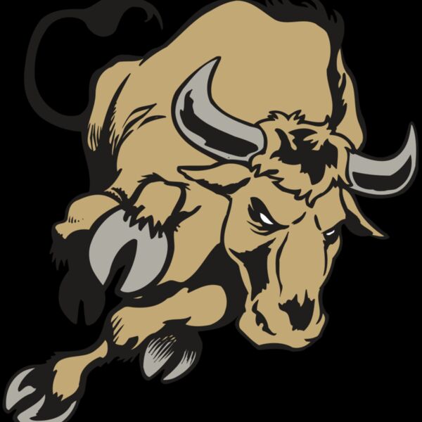 AR BULL 51 RC Thumbnail