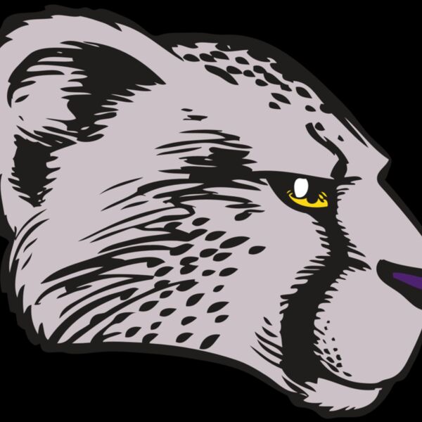 BAW CHEETAH 20 RC Thumbnail