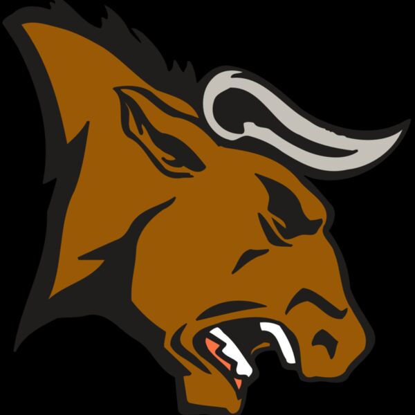 AR BULL 38 RC Thumbnail