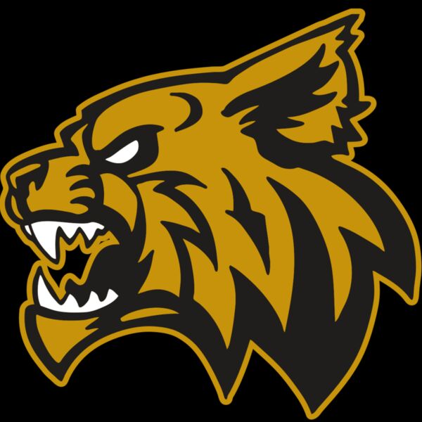 AR WILDCAT 16 RC Thumbnail