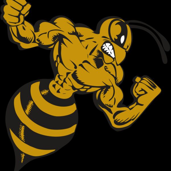 BAW BEE 01 RC Thumbnail