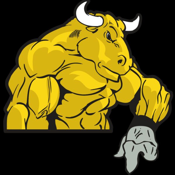 AR BULL 13 RC Thumbnail