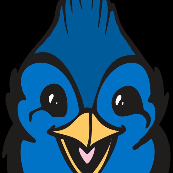 BAW BLUEJAY 19 RC Thumbnail