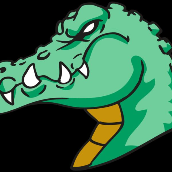 AR GATOR 31 RQC Thumbnail