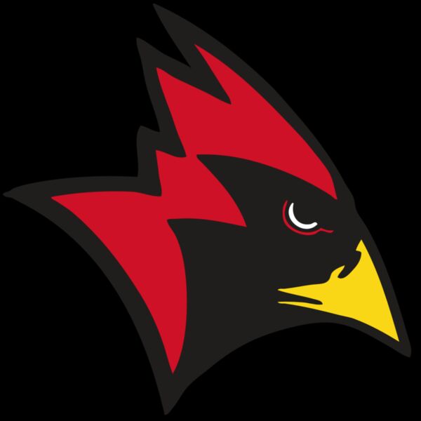 AR CARDINAL 23 RC Thumbnail