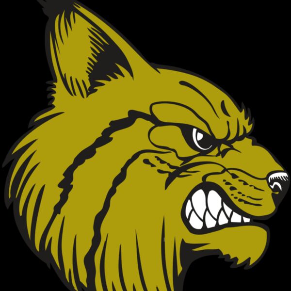 BAW BOBCAT 16 RC Thumbnail