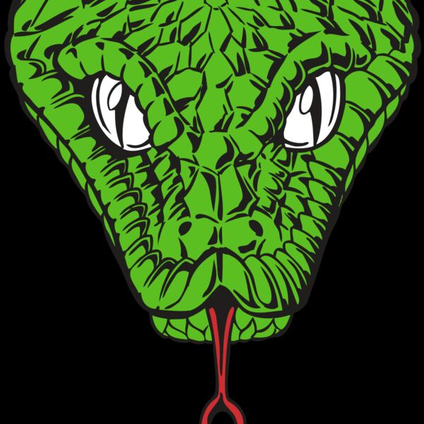 BAW SNAKE 08 RC Thumbnail