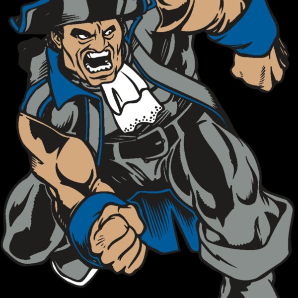 AR PATRIOT 11 RC Thumbnail