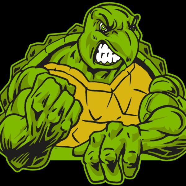 AR31 TURTLE 01 RQC Thumbnail