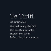 Men's Dark Heavy Tee – Te Tiriti Design